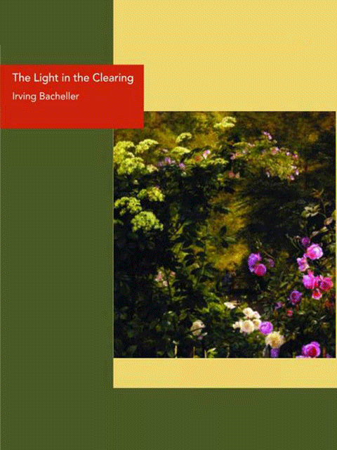 The Light in the Clearing